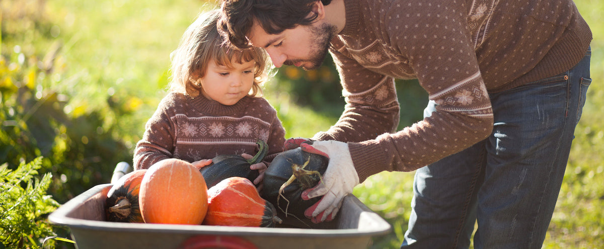 A child and a man place orange and green gourds in a wheelbarrow.