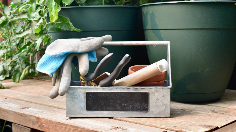 A metal bucket with garden tools sits on a wooden surface in front of green pots.