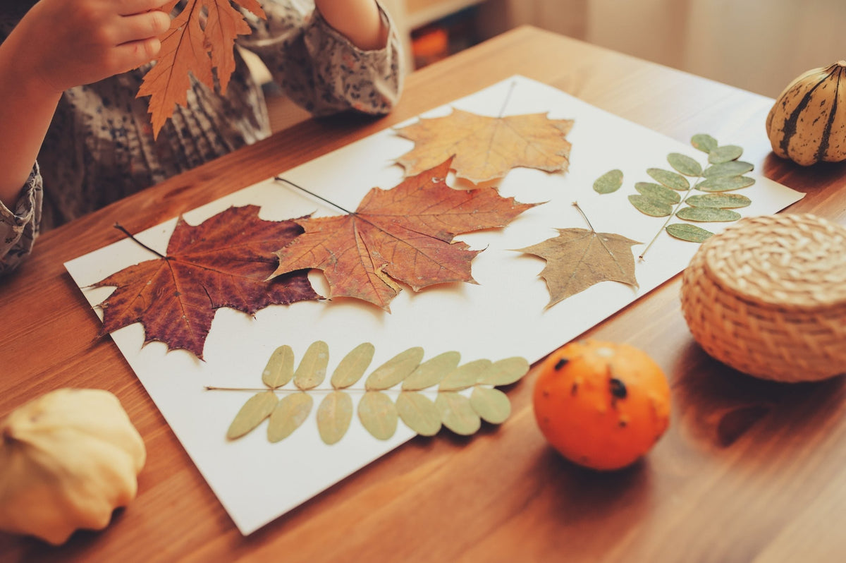 Fall leaves sit on a white piece of paper on a desk.