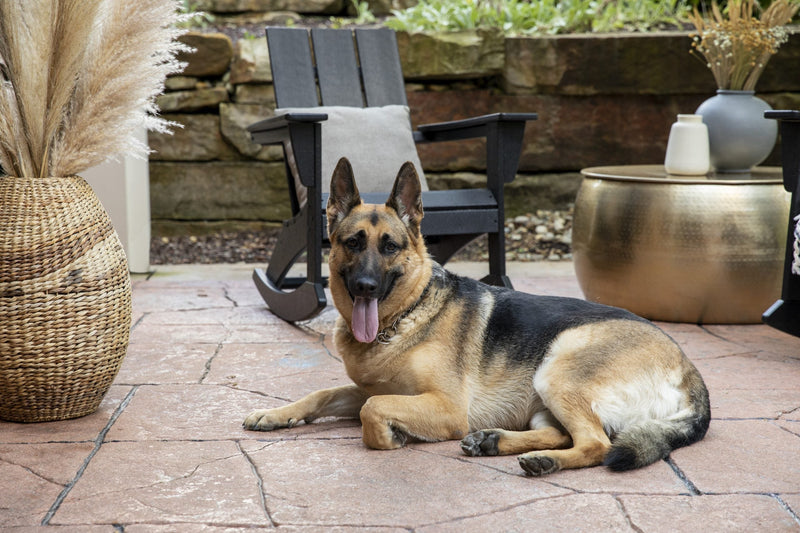 A German Shepherd lies on a stone patio in front of a black POLYWOOD Modern Adirondack Rocker.