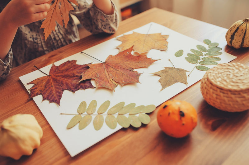 Fall leaves sit on a white piece of paper on a desk.