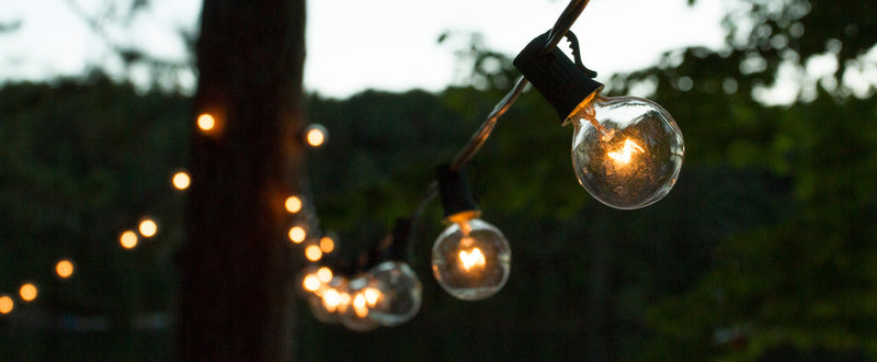 Outdoor string lights hang in front of a tall hedge.