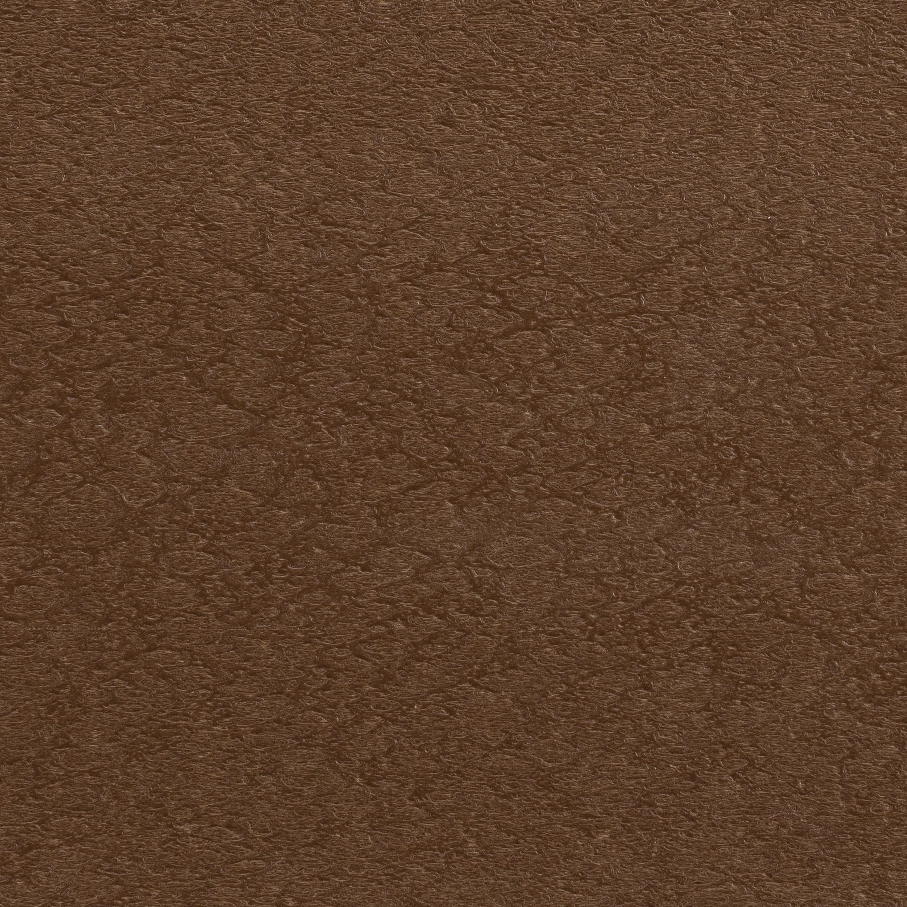 Teak