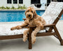 Vineyard Chaise with Arms and Wheels