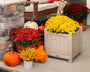Traditional Garden 16" Planter