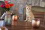 Signature 5-Piece Round Dining Set with Trestle Legs